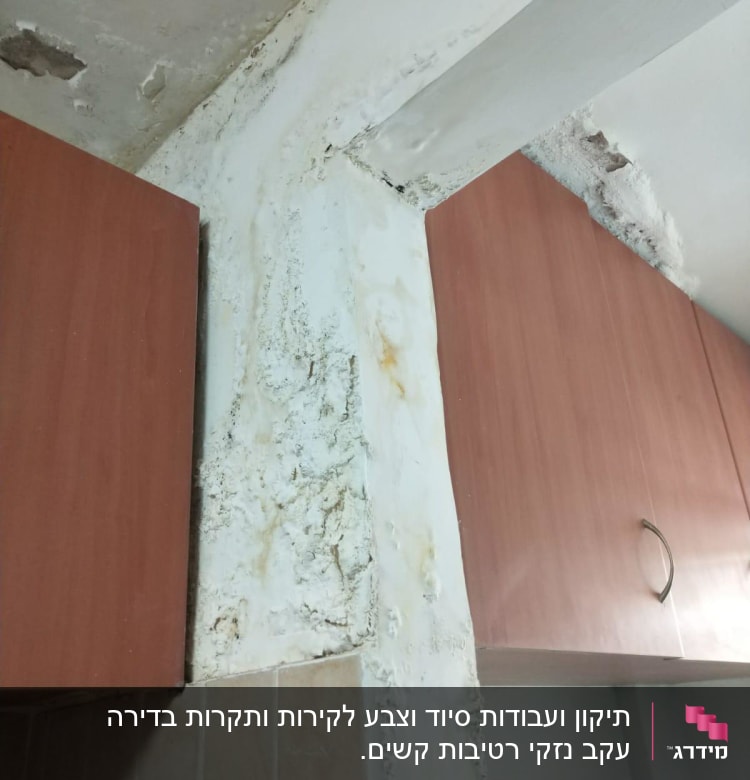 קיר עם רטיבות ועובש ליד ארונות מטבח